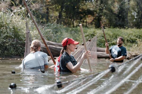 students in the river with nets