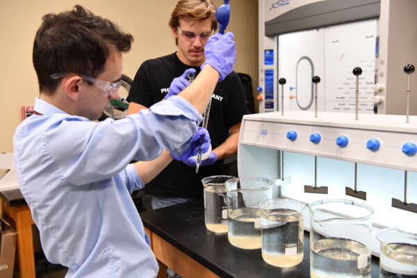 Two students using pipette to measure liquids into a line of beakers